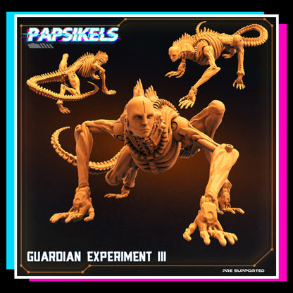 Guardian Experiment 3