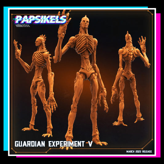 Guardian Experiment 5