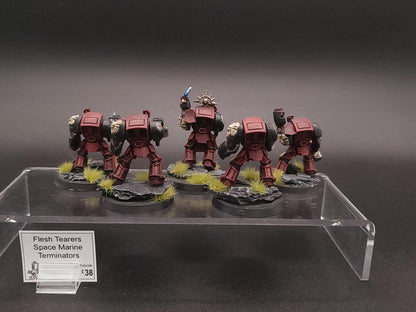 Flesh Tearers Space Marine Terminators