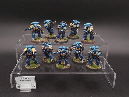 Primaris Intercessors