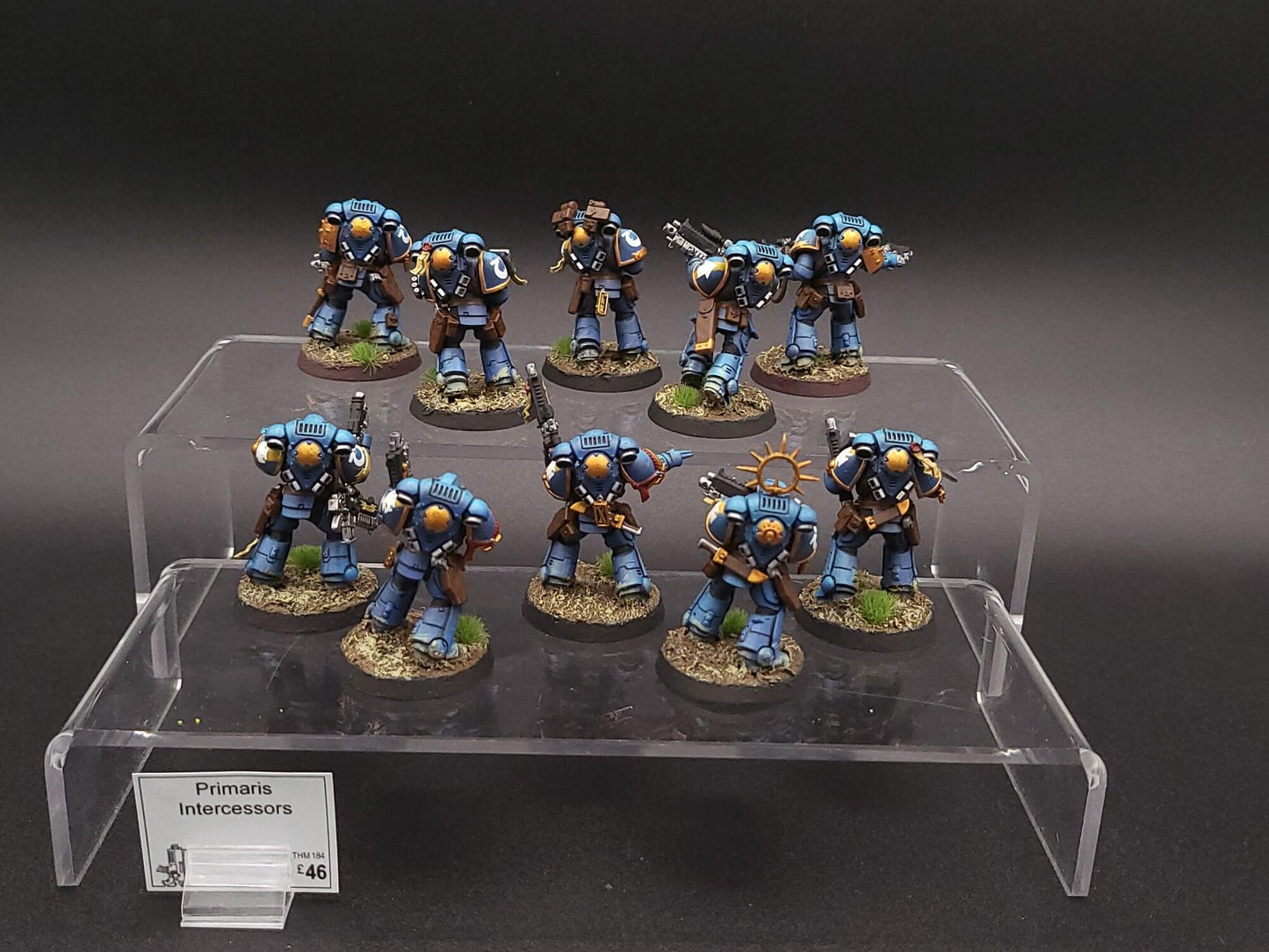 Primaris Intercessors