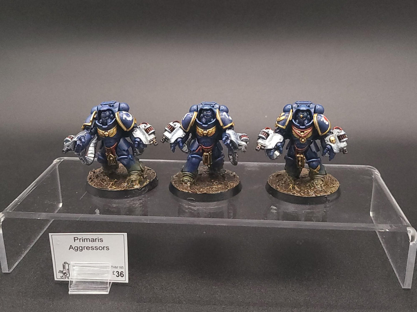 Primaris Aggressors