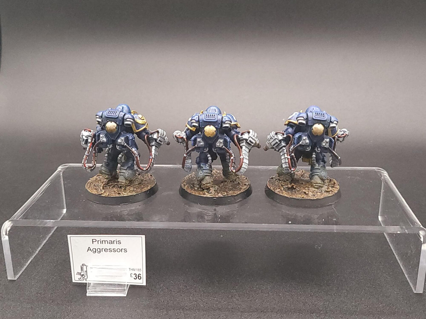 Primaris Aggressors