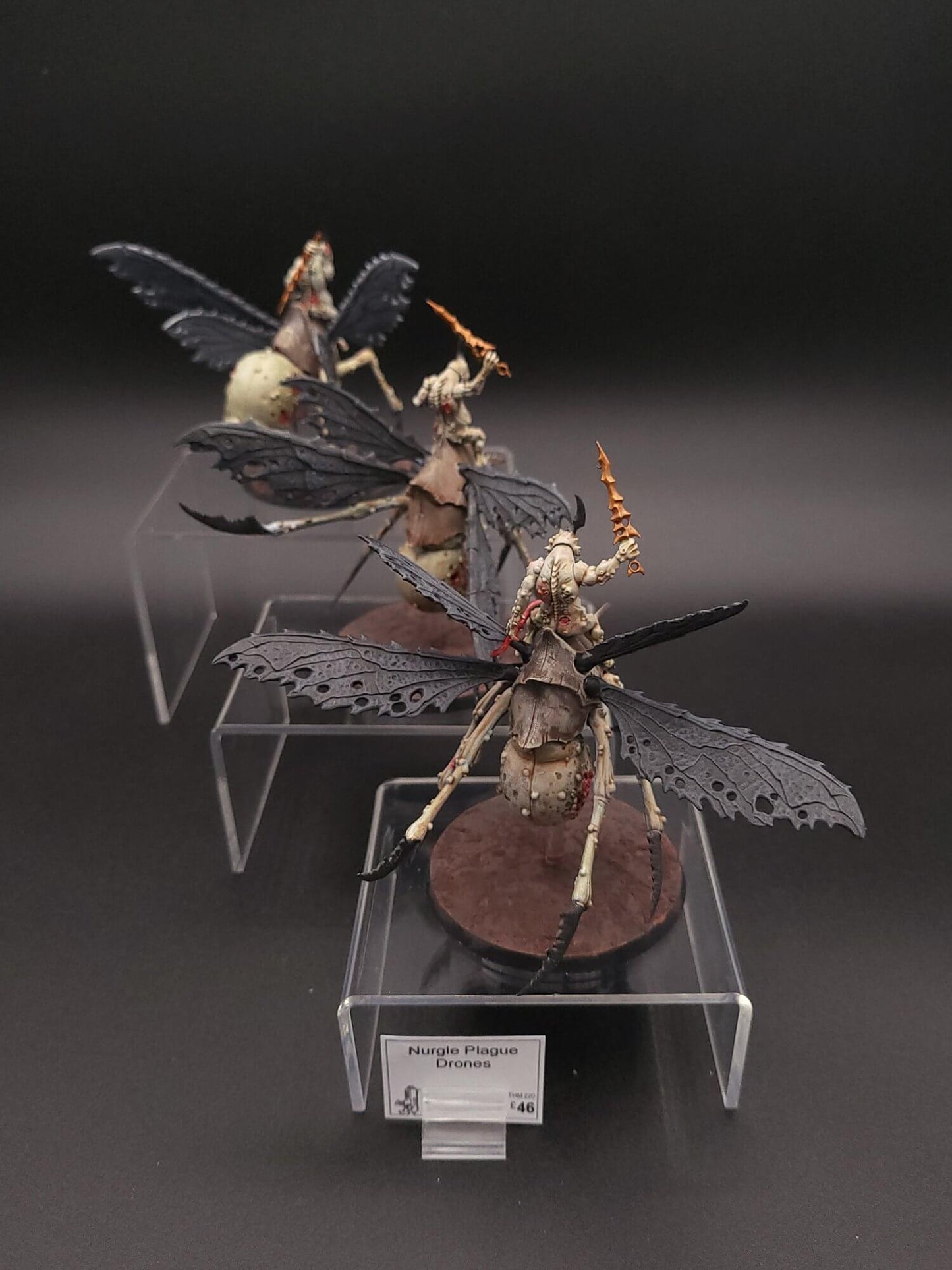 Nurgle Plague Drones