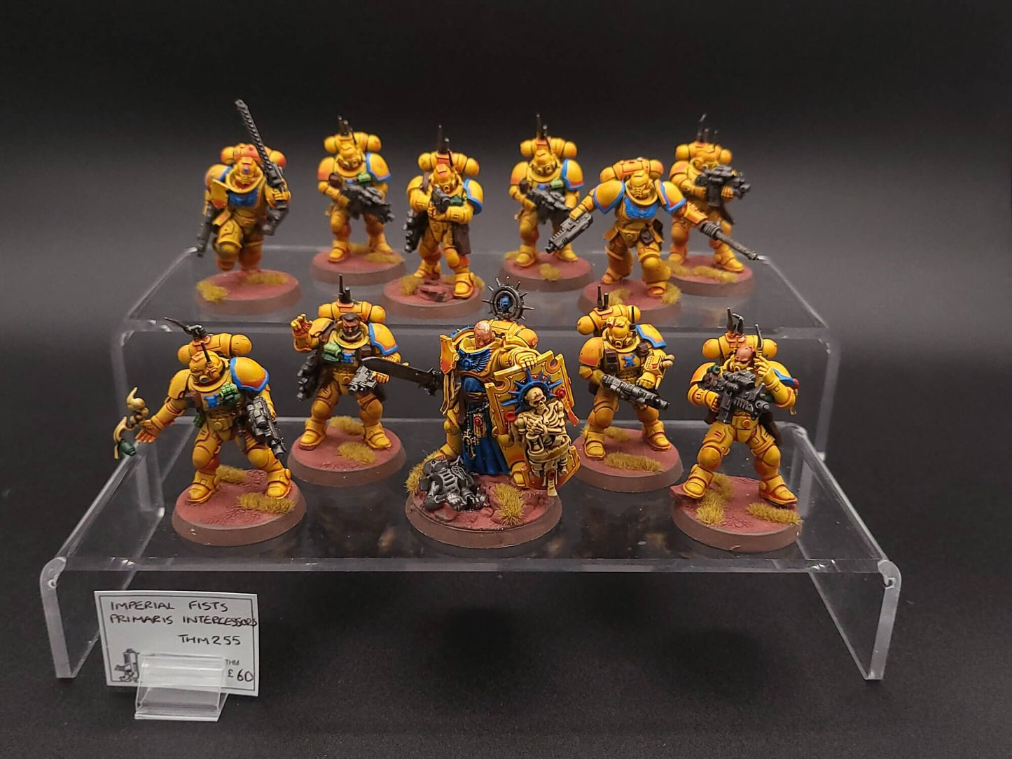 Imperial Fists Primaris Intercessors