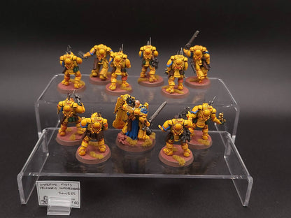 Imperial Fists Primaris Intercessors